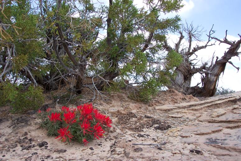 Copy of Moab2004_0204.jpg